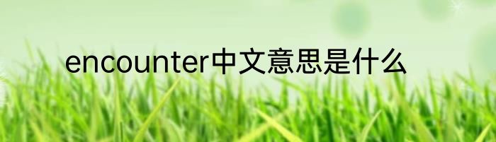 encounter中文意思是什么