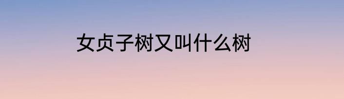 女贞子树又叫什么树