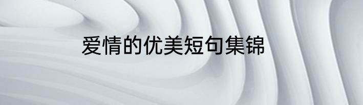 爱情的优美短句集锦