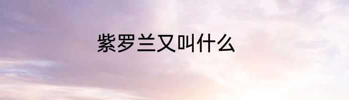 紫罗兰又叫什么