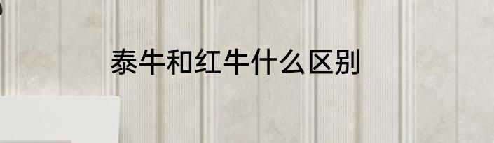 泰牛和红牛什么区别