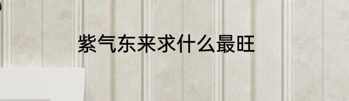 紫气东来求什么最旺
