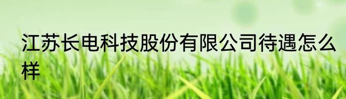 江苏长电科技股份有限公司待遇怎么样