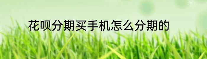 花呗分期买手机怎么分期的