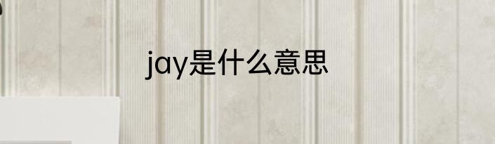 jay是什么意思