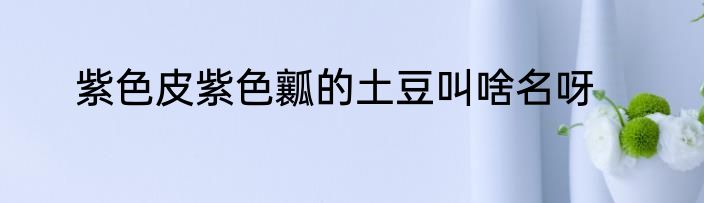 紫色皮紫色瓤的土豆叫啥名呀