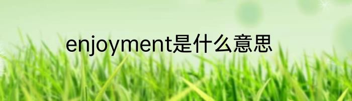 enjoyment是什么意思