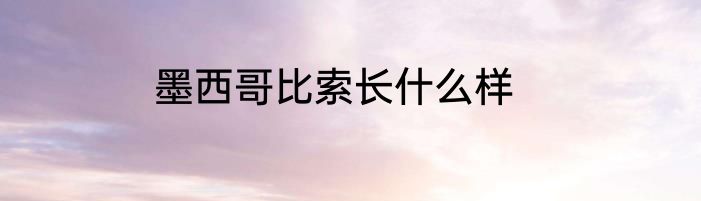 墨西哥比索长什么样