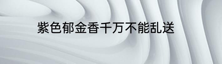 紫色郁金香千万不能乱送
