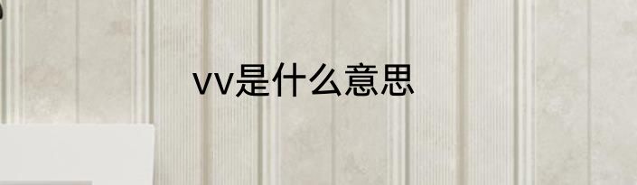 vv是什么意思