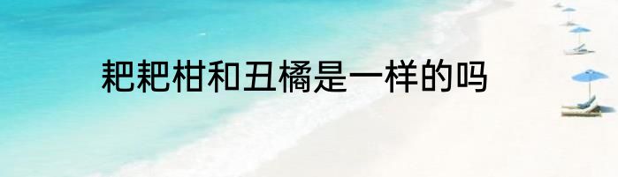 耙耙柑和丑橘是一样的吗