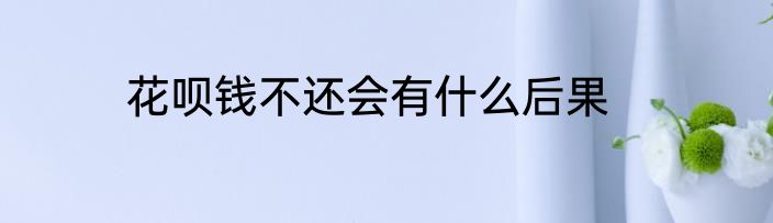 花呗钱不还会有什么后果