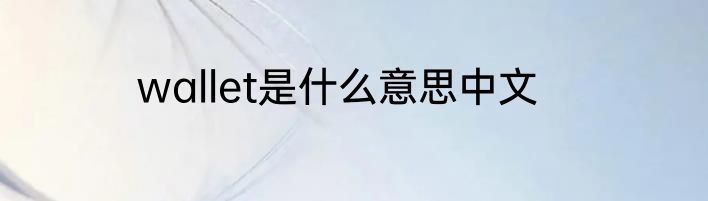 wallet是什么意思中文