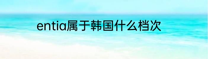 entia属于韩国什么档次