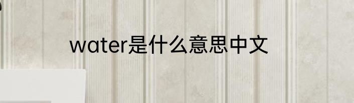 water是什么意思中文