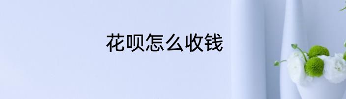 花呗怎么收钱