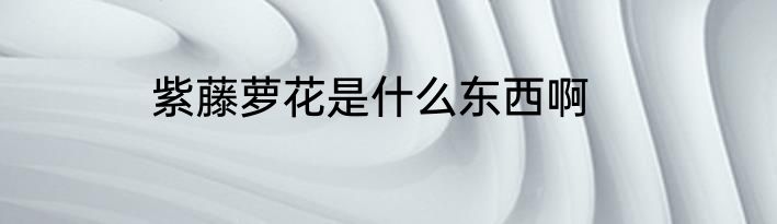 紫藤萝花是什么东西啊