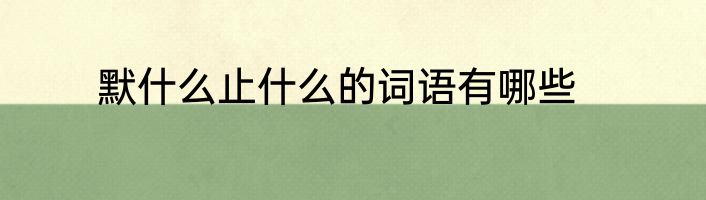 默什么止什么的词语有哪些