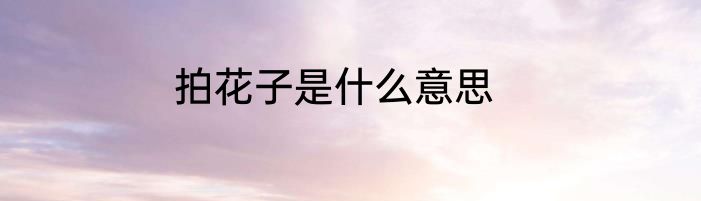 拍花子是什么意思