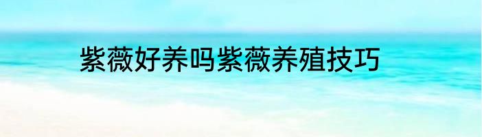 紫薇好养吗紫薇养殖技巧