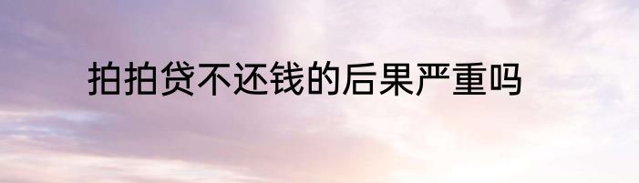 拍拍贷不还钱的后果严重吗