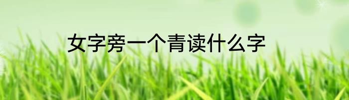 女字旁一个青读什么字