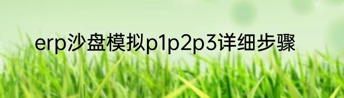 erp沙盘模拟p1p2p3详细步骤