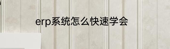 erp系统怎么快速学会