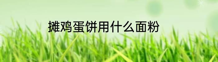 摊鸡蛋饼用什么面粉