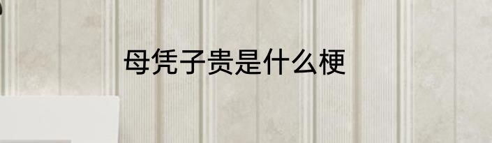 母凭子贵是什么梗