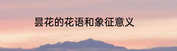 昙花的花语和象征意义