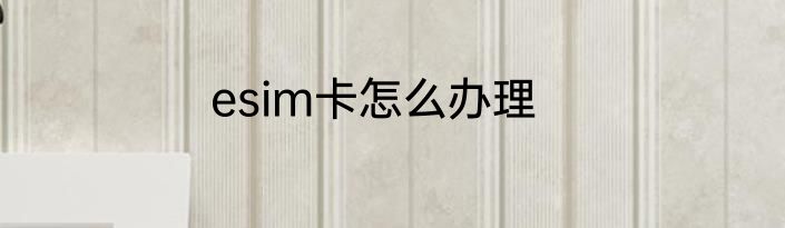 esim卡怎么办理