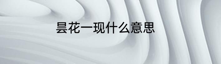 昙花一现什么意思