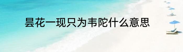 昙花一现只为韦陀什么意思