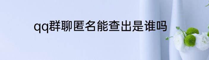 qq群聊匿名能查出是谁吗