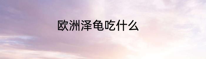 欧洲泽龟吃什么