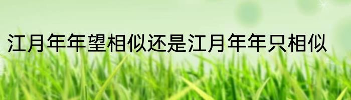 江月年年望相似还是江月年年只相似