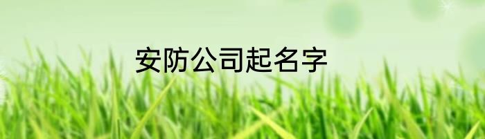 安防公司起名字