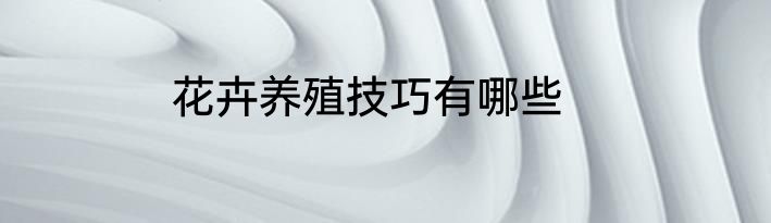 花卉养殖技巧有哪些