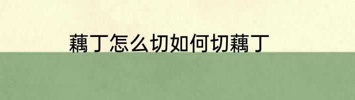 藕丁怎么切如何切藕丁
