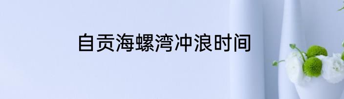 自贡海螺湾冲浪时间