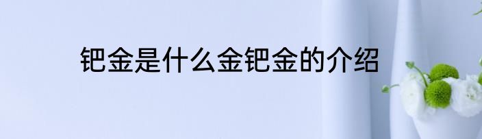 钯金是什么金钯金的介绍