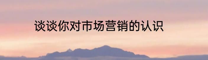 谈谈你对市场营销的认识