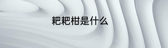 耙耙柑是什么