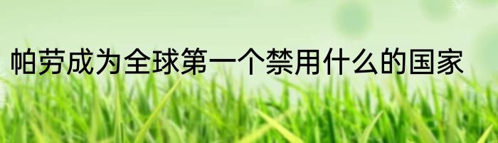 帕劳成为全球第一个禁用什么的国家
