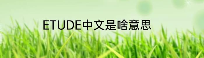 ETUDE中文是啥意思