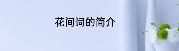 花间词的简介