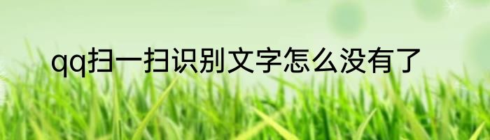 qq扫一扫识别文字怎么没有了
