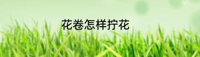 花卷怎样拧花