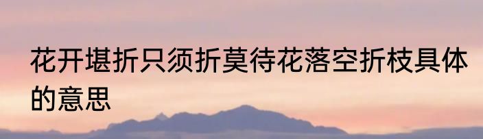 花开堪折只须折莫待花落空折枝具体的意思